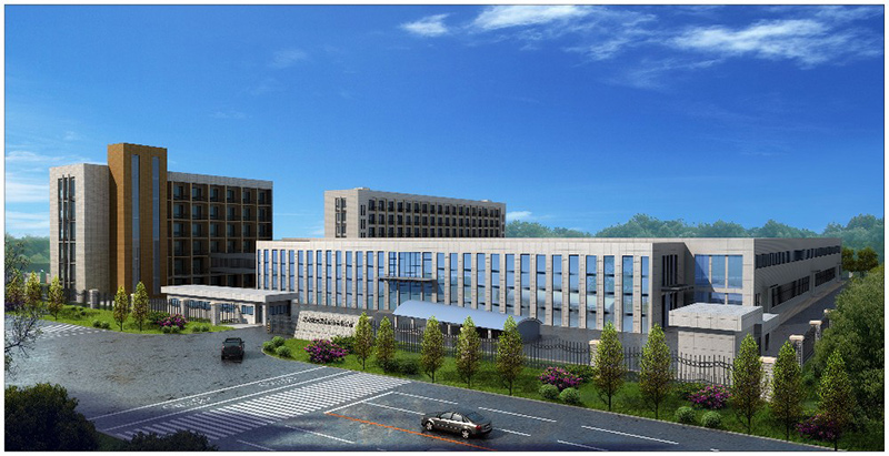 Company Strength Company Strength